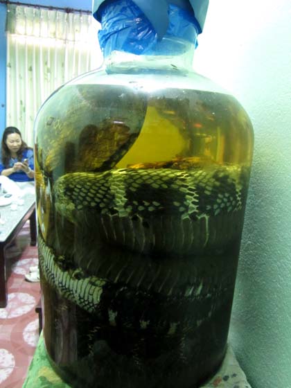 Nữ[-]đại[-]gia[-]và[-]niềm[-]đam[-]mê[-]“quái[-]thú”[-]hổ[-]chúa[-]dài[-]7m